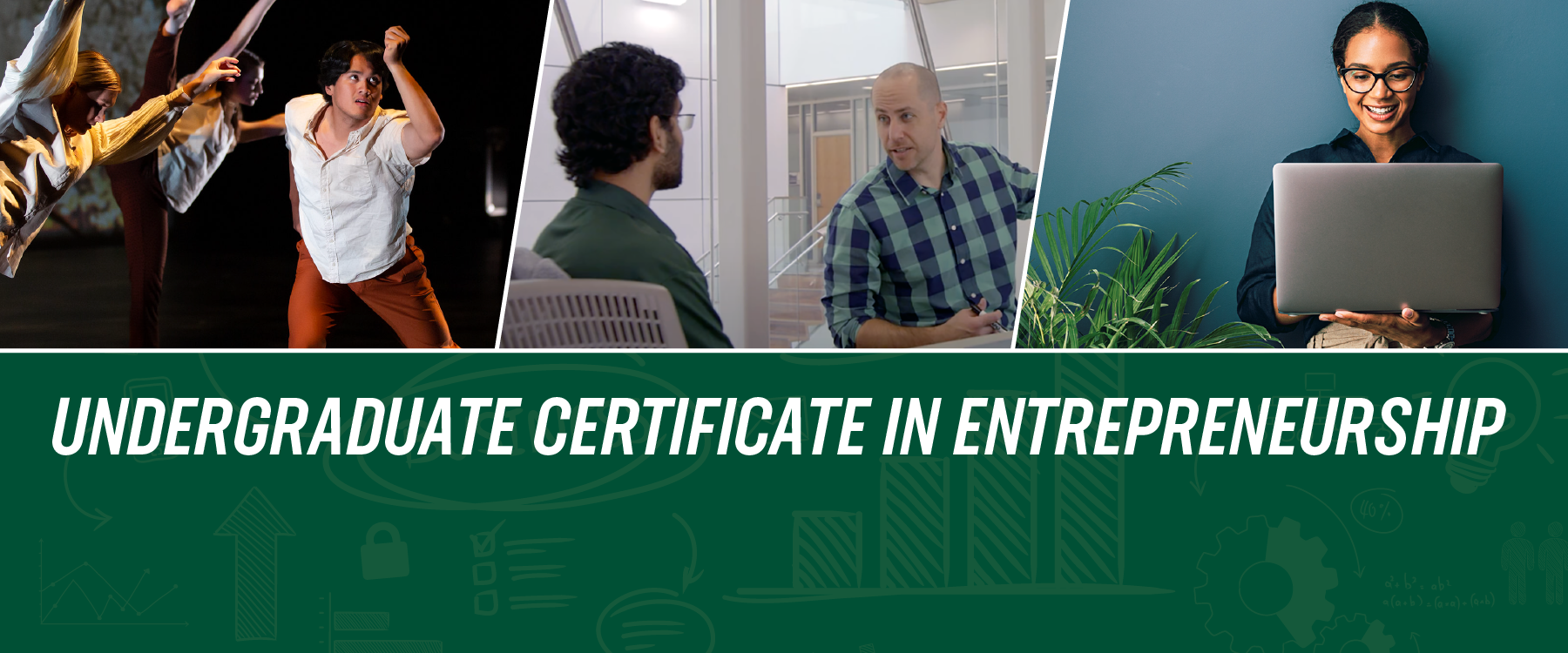 Undergraduate Certificate in Entrepreneurship