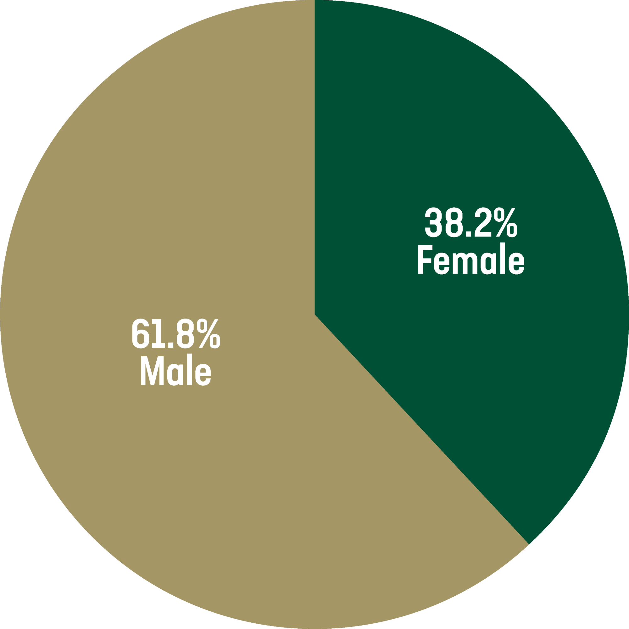 2022-2023 Enrollment by gender for Belk College Undergraduate programs.