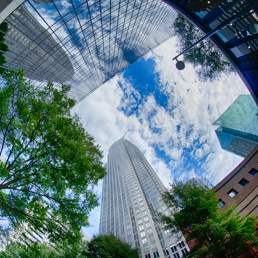 Upward city view of Uptown Charlotte, NC. Image for the new M.S. in Financial Engineering and Fintech